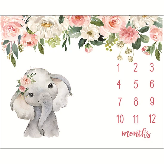 monthly milestone baby blanket