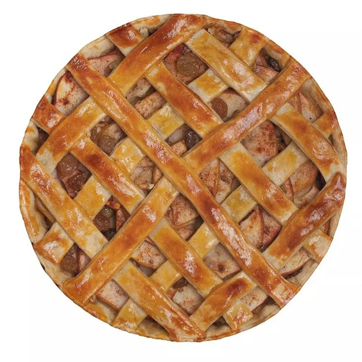 pizza fleece blanket