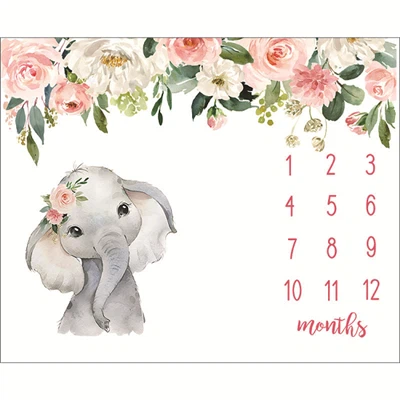 ชุดของขวัญผ้าห่มไมล์สโตน